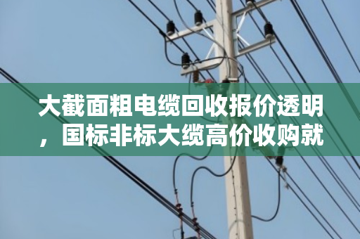 大截面粗电缆回收报价透明,国标非标大缆高价收购就找泊祎回收 大截面粗电缆回收报价透明,国标非标大缆高价收购就找泊祎回收