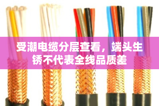受潮电缆分层查看,端头生锈不代表全线品质差 受潮电缆分层查看,端头生锈不代表全线品质差