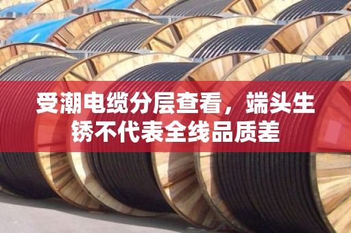受潮电缆分层查看,端头生锈不代表全线品质差 受潮电缆分层查看,端头生锈不代表全线品质差
