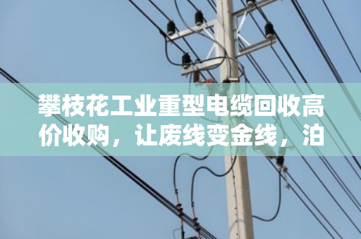 攀枝花工业重型电缆回收高价收购,让废线变金线,泊祎回收助您降本增效 攀枝花工业重型电缆回收高价收购,让废线变金线,泊祎回收助您降本增效