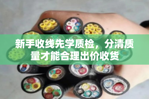 新手收线先学质检，分清质量才能合理出价收货