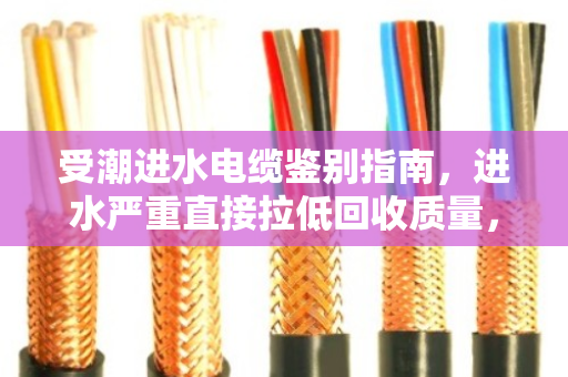 受潮进水电缆鉴别指南,进水严重直接拉低回收质量,别让湿线砸了饭碗 受潮进水电缆鉴别指南,进水严重直接拉低回收质量,别让湿线砸了饭碗