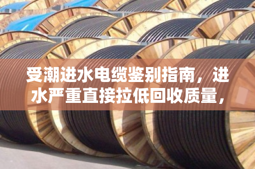 受潮进水电缆鉴别指南,进水严重直接拉低回收质量,别让湿线砸了饭碗 受潮进水电缆鉴别指南,进水严重直接拉低回收质量,别让湿线砸了饭碗
