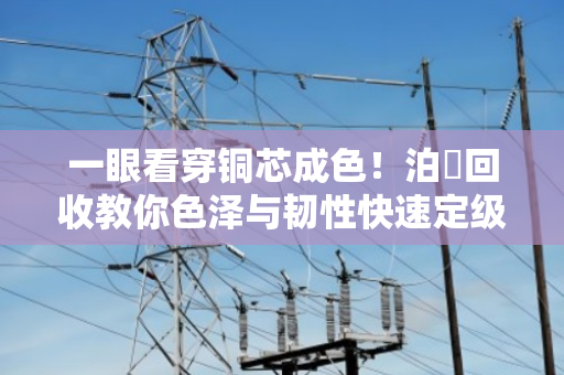 一眼看穿铜芯成色!泊祎回收教你色泽与韧性快速定级电缆品质 一眼看穿铜芯成色!泊祎回收教你色泽与韧性快速定级电缆品质