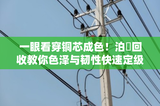 一眼看穿铜芯成色!泊祎回收教你色泽与韧性快速定级电缆品质 一眼看穿铜芯成色!泊祎回收教你色泽与韧性快速定级电缆品质