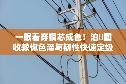 一眼看穿铜芯成色！泊祎回收教你色泽与韧性快速定级电缆品质