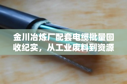 金川冶炼厂配套电缆批量回收纪实，从工业废料到资源金矿的绿色转身