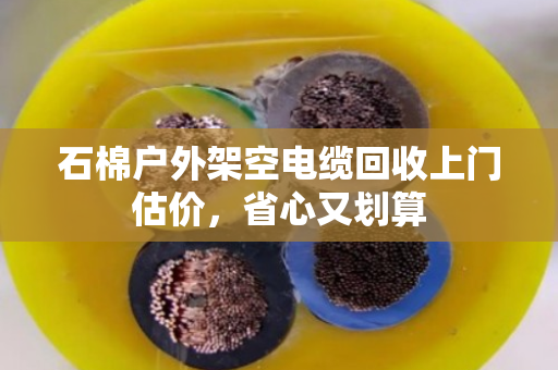 石棉户外架空电缆回收上门估价,省心又划算 石棉户外架空电缆回收上门估价,省心又划算