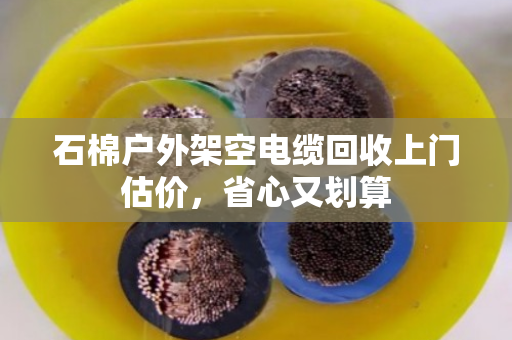 石棉户外架空电缆回收上门估价,省心又划算 石棉户外架空电缆回收上门估价,省心又划算