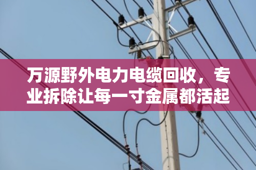 万源野外电力电缆回收,专业拆除让每一寸金属都活起来 万源野外电力电缆回收,专业拆除让每一寸金属都活起来