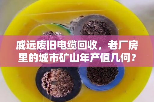 威远废旧电缆回收,老厂房里的城市矿山年产值几何? 威远废旧电缆回收,老厂房里的城市矿山年产值几何?