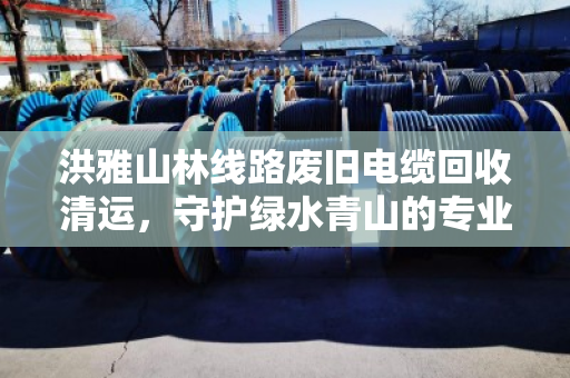 洪雅山林线路废旧电缆回收清运,守护绿水青山的专业之路 洪雅山林线路废旧电缆回收清运,守护绿水青山的专业之路