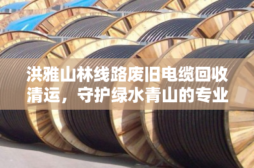 洪雅山林线路废旧电缆回收清运,守护绿水青山的专业之路 洪雅山林线路废旧电缆回收清运,守护绿水青山的专业之路