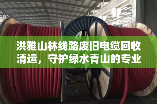洪雅山林线路废旧电缆回收清运，守护绿水青山的专业之路