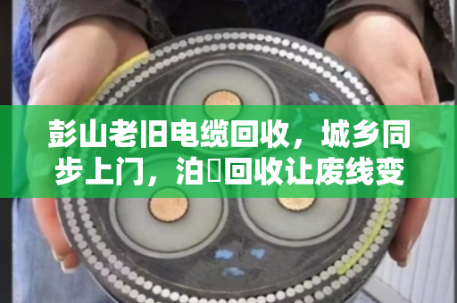 彭山老旧电缆回收,城乡同步上门,泊祎回收让废线变活钱 彭山老旧电缆回收,城乡同步上门,泊祎回收让废线变活钱