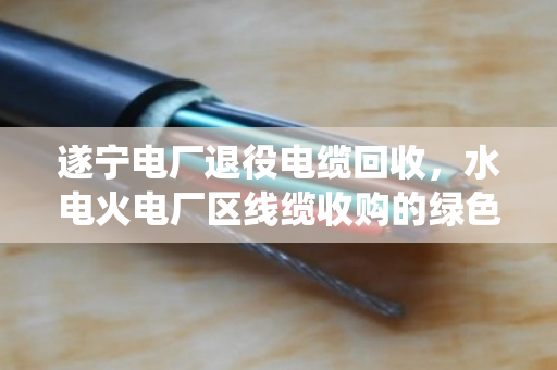 遂宁电厂退役电缆回收，水电火电厂区线缆收购的绿色转型与价值重塑