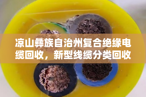 凉山彝族自治州复合绝缘电缆回收,新型线缆分类回收的环保与价值之道 凉山彝族自治州复合绝缘电缆回收,新型线缆分类回收的环保与价值之道