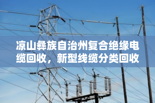 凉山彝族自治州复合绝缘电缆回收，新型线缆分类回收的环保与价值之道