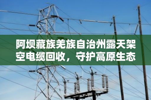 阿坝藏族羌族自治州露天架空电缆回收,守护高原生态的线缆终结者 阿坝藏族羌族自治州露天架空电缆回收,守护高原生态的线缆终结者