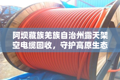 阿坝藏族羌族自治州露天架空电缆回收，守护高原生态的线缆终结者
