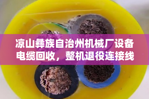 凉山彝族自治州机械厂设备电缆回收,整机退役连接线回收的绿色价值 凉山彝族自治州机械厂设备电缆回收,整机退役连接线回收的绿色价值
