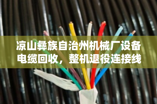 凉山彝族自治州机械厂设备电缆回收,整机退役连接线回收的绿色价值 凉山彝族自治州机械厂设备电缆回收,整机退役连接线回收的绿色价值