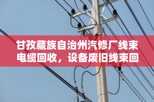 甘孜藏族自治州汽修厂线束电缆回收,设备废旧线束回收—泊祎回收助力降本增效 甘孜藏族自治州汽修厂线束电缆回收,设备废旧线束回收—泊祎回收助力降本增效