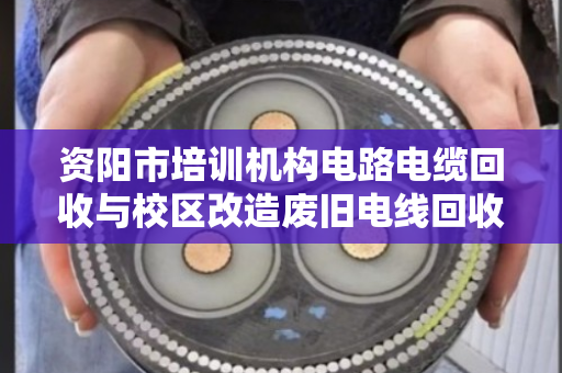资阳市培训机构电路电缆回收与校区改造废旧电线回收,找泊祎回收省心又划算 资阳市培训机构电路电缆回收与校区改造废旧电线回收,找泊祎回收省心又划算