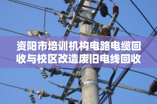 资阳市培训机构电路电缆回收与校区改造废旧电线回收,找泊祎回收省心又划算 资阳市培训机构电路电缆回收与校区改造废旧电线回收,找泊祎回收省心又划算