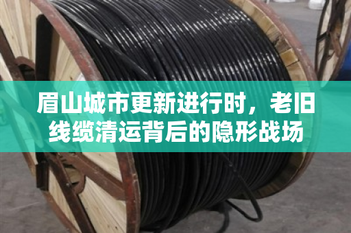 眉山城市更新进行时,老旧线缆清运背后的隐形战场 眉山城市更新进行时,老旧线缆清运背后的隐形战场