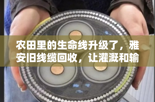 农田里的生命线升级了,雅安旧线缆回收,让灌溉和输电省钱又省心 农田里的生命线升级了,雅安旧线缆回收,让灌溉和输电省钱又省心