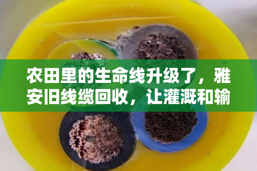 农田里的生命线升级了，雅安旧线缆回收，让灌溉和输电省钱又省心