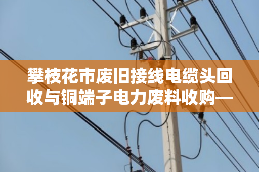 攀枝花市废旧接线电缆头回收与铜端子电力废料收购—让闲置资源重生,助力绿色经济 攀枝花市废旧接线电缆头回收与铜端子电力废料收购—让闲置资源重生,助力绿色经济