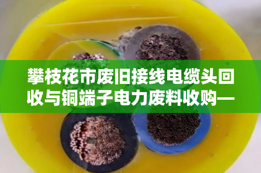攀枝花市废旧接线电缆头回收与铜端子电力废料收购—让闲置资源重生，助力绿色经济