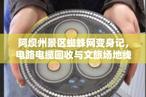 阿坝州景区蜘蛛网变身记,电路电缆回收与文旅场地线缆整改的实践之路 阿坝州景区蜘蛛网变身记,电路电缆回收与文旅场地线缆整改的实践之路
