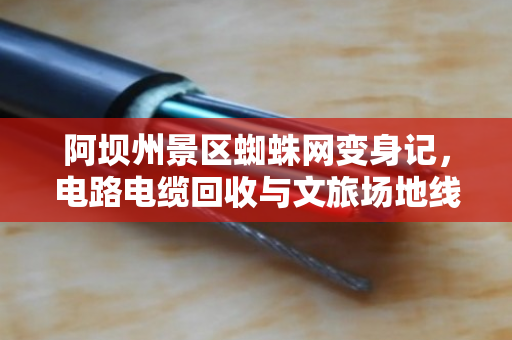 阿坝州景区蜘蛛网变身记,电路电缆回收与文旅场地线缆整改的实践之路 阿坝州景区蜘蛛网变身记,电路电缆回收与文旅场地线缆整改的实践之路
