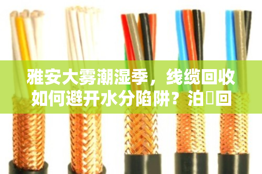 雅安大雾潮湿季,线缆回收如何避开水分陷阱?泊祎回收专业扣重结算更透明 雅安大雾潮湿季,线缆回收如何避开水分陷阱?泊祎回收专业扣重结算更透明