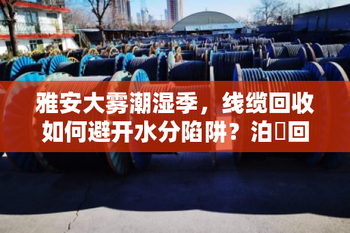 雅安大雾潮湿季,线缆回收如何避开水分陷阱?泊祎回收专业扣重结算更透明 雅安大雾潮湿季,线缆回收如何避开水分陷阱?泊祎回收专业扣重结算更透明