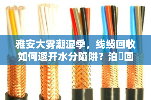 雅安大雾潮湿季，线缆回收如何避开水分陷阱？泊祎回收专业扣重结算更透明