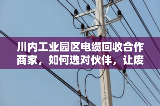 川内工业园区电缆回收合作商家,如何选对伙伴,让废旧电缆真正变废为宝 川内工业园区电缆回收合作商家,如何选对伙伴,让废旧电缆真正变废为宝