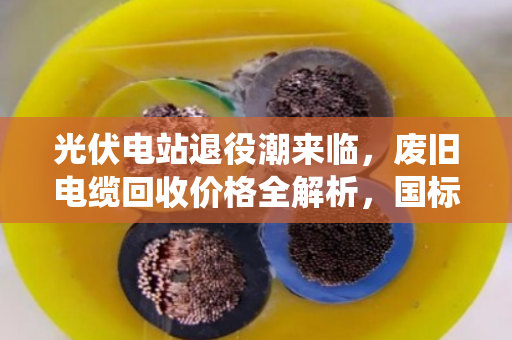 光伏电站退役潮来临,废旧电缆回收价格全解析,国标与非标报价差多少?泊祎回收行业观察 光伏电站退役潮来临,废旧电缆回收价格全解析,国标与非标报价差多少?泊祎回收行业观察