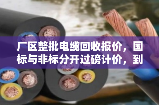 厂区整批电缆回收报价，国标与非标分开过磅计价，到底能省多少钱？