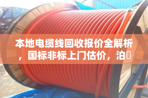 本地电缆线回收报价全解析,国标非标上门估价,泊祎回收让废线变现金 本地电缆线回收报价全解析,国标非标上门估价,泊祎回收让废线变现金