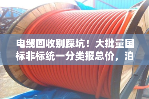 电缆回收别踩坑!大批量国标非标统一分类报总价,泊祎回收让您省心又省钱 电缆回收别踩坑!大批量国标非标统一分类报总价,泊祎回收让您省心又省钱