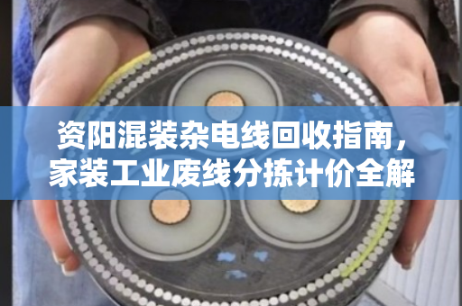 资阳混装杂电线回收指南，家装工业废线分拣计价全解析，找对渠道多卖钱