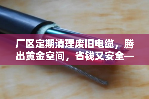 厂区定期清理废旧电缆，腾出黄金空间，省钱又安全—泊祎回收实战经验分享