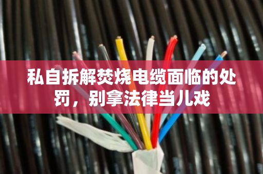 私自拆解焚烧电缆面临的处罚,别拿法律当儿戏 私自拆解焚烧电缆面临的处罚,别拿法律当儿戏