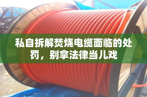 私自拆解焚烧电缆面临的处罚，别拿法律当儿戏