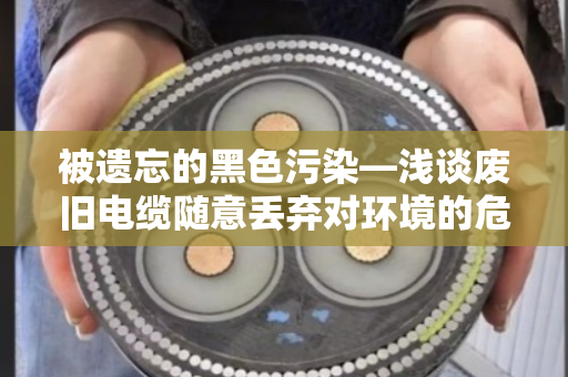 被遗忘的黑色污染—浅谈废旧电缆随意丢弃对环境的危害 被遗忘的黑色污染—浅谈废旧电缆随意丢弃对环境的危害