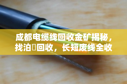 成都电缆线回收金矿揭秘,找泊祎回收,长短废线全收,价格透明! 成都电缆线回收金矿揭秘,找泊祎回收,长短废线全收,价格透明!